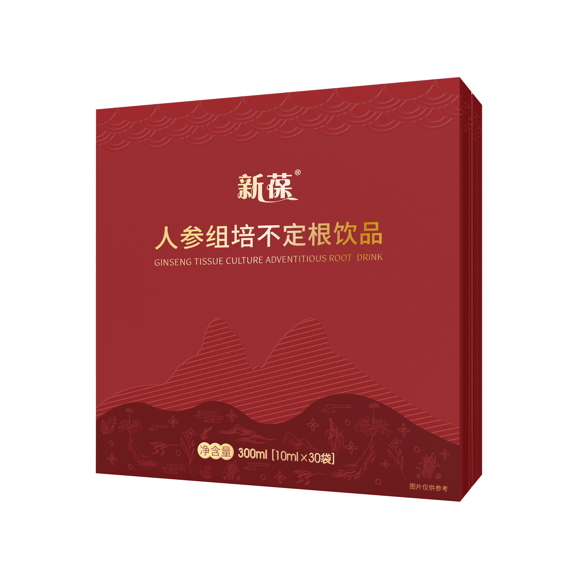 新葆人参组培不定根饮品