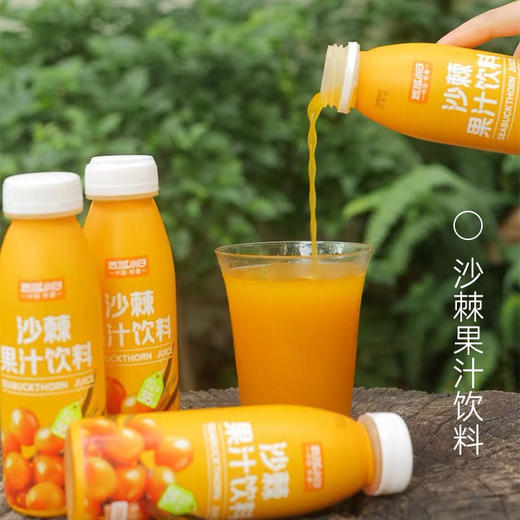 西域小白沙棘果汁 290ML*10瓶 健康好喝基地直邮 商品图0