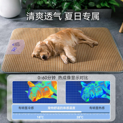 新款新品凉席狗狗清凉垫子小型犬狗窝宠物猫咪用品凉窝小凉垫四季通用 商品图3