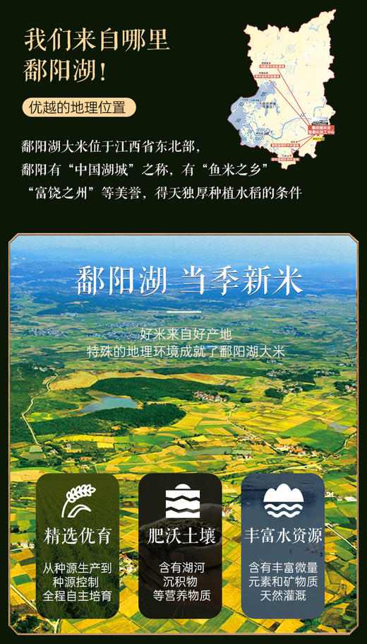 鄱阳湖莲湖油粘5KG 商品图4