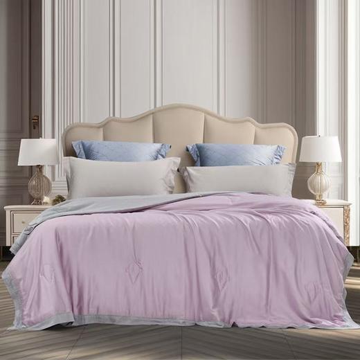 10楼 富安娜  丝滑冰爽夏被- 吊牌价1880-2180元，活动价499-599元 商品图1