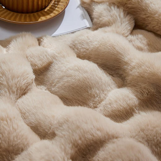 LOVO乐蜗XS VQ0868 轻奢防静电双层仿兔毛毯 85×140cm 咖色 商品图4