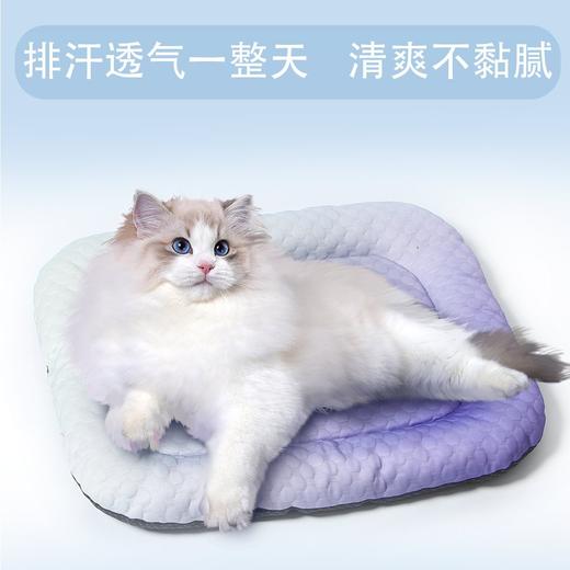 夏季冰窝冰垫猫狗窝3D凉感冰豆豆垫子居家透气狗垫子宠物用品凉席 商品图2