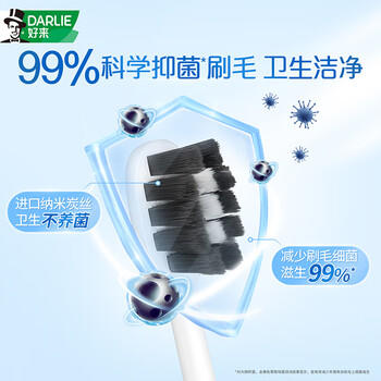 好来（DARLIE）(原黑人)密护龈·炭软毛牙刷进口炭丝抗菌清洁护龈 2支装新旧包装 /个人护理 /口腔护理 /牙刷 商品图1
