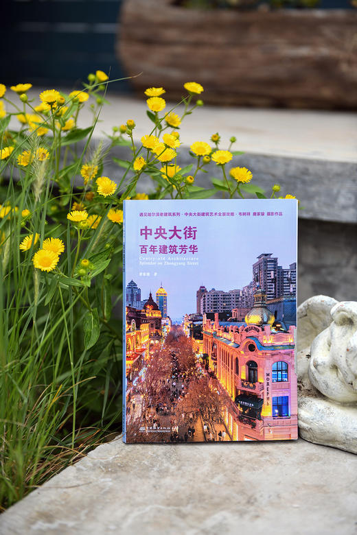 中央大街百年建筑芳华  &3303 商品图1