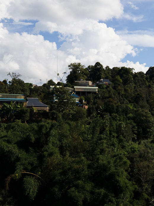 【墨江迷帝散茶】2023年春茶“不喝迷帝，怎知普洱的极致雅韵？净含量：250g/盒 商品图1