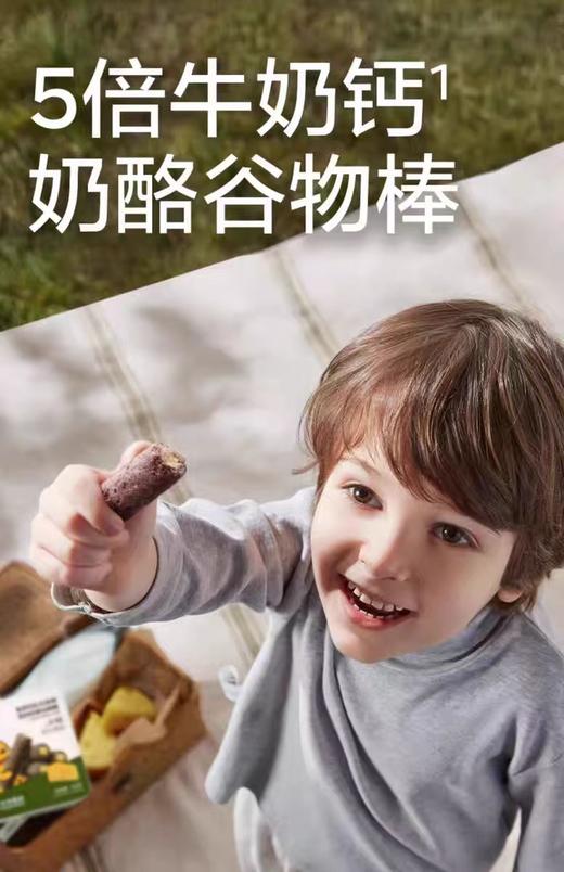 光合星球侏罗纪队长高高 高钙奶酪谷物棒 60g/BBC-103864 商品图0