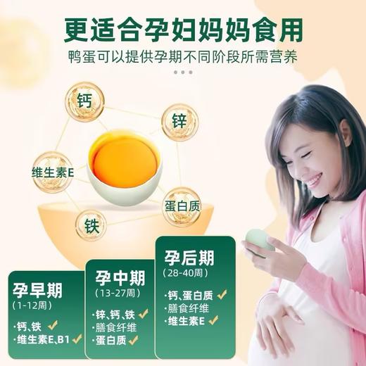 神丹12枚VE鲜鸭蛋 商品图3