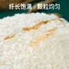 袁谷碱地长粒香米5kg东北粳米长粒香米劲道有嚼劲真空装10斤25年新米 商品缩略图2