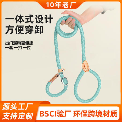 狗牵引绳防暴冲尼龙手工缝皮P绳加长加粗不勒手训狗圆绳大型犬P链 商品图0