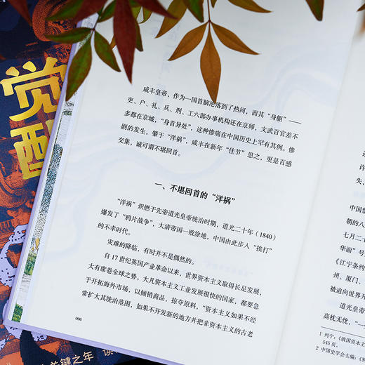 幻灭与觉醒：1861年的内乱、外交与政局 商品图8