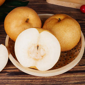 【应季生鲜】山东早茬秋月梨 现摘现发 顺丰包邮 皮薄肉厚 雪白细腻 脆嫩多汁 正宗秋月梨 防虫套袋生长 人工采摘 精挑细选优质大果