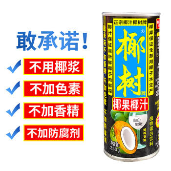椰树椰果椰汁 250g*24罐 植物蛋白饮料 正宗海南特产 整箱装 /水饮冲调 /饮料 /植物蛋白饮料 商品图3
