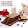 捷森德国进口 黑麦全麦面包500g/袋  0糖0反式 粗粮低脂健身代餐 /休闲食品 /西式糕点 /吐司面包 商品缩略图2