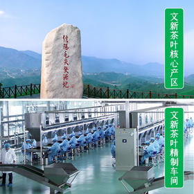 文新绿茶2026新茶预售放心好茶信阳毛尖一级200g雨前罐装 /水饮冲调 /茗茶 /绿茶