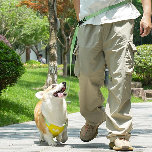 夏季新款狗狗牵引绳马卡龙双拼撞色宠物胸背带可调节背心式遛狗绳 商品图3