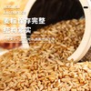 鲜山叔 内蒙古燕麦米高蛋白膳食纤维营养粗粮米原味生燕麦片 真空包装 商品缩略图3