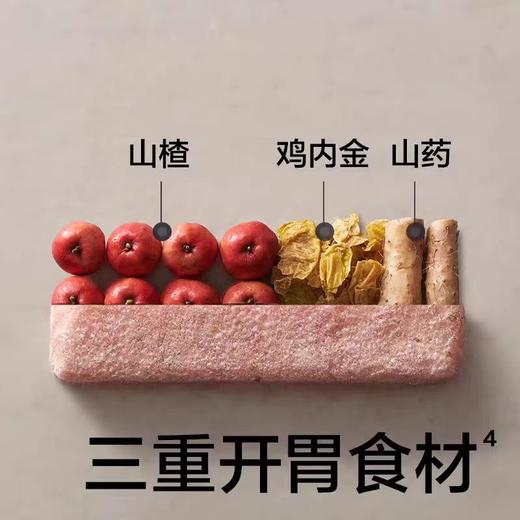 光合星球侏罗纪队长棒棒山楂小葫芦 62g/冻干山楂条 20克/BBC-807076/103116 商品图3