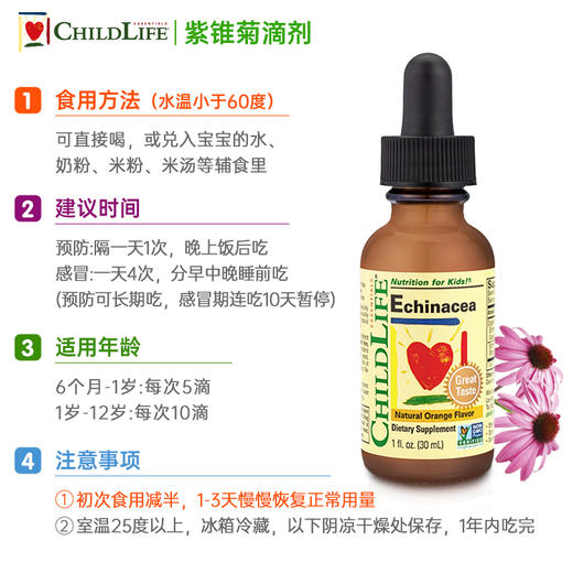【保税】美国 童年life（Childlife）紫锥菊滴剂 29.6ml/30ml随机发货 商品图2