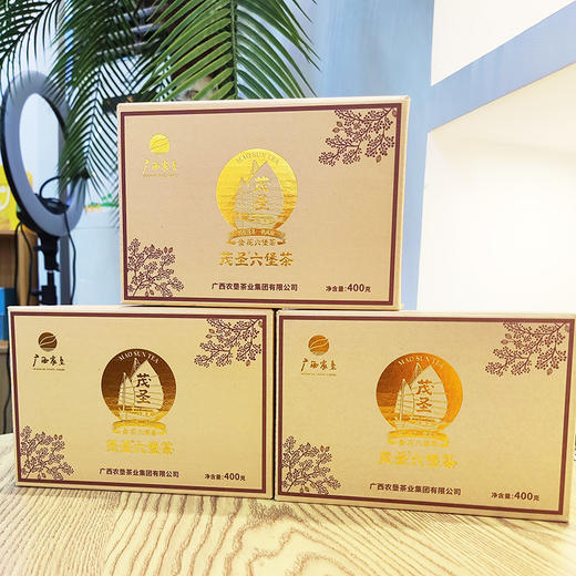 茂圣金花六堡茶金花茶砖400g四级黑茶广西梧州特产 商品图5