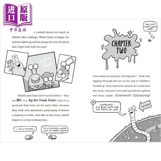 【中商原版】野兽兄弟 Beastie Bros 英文原版 儿童章节书图画小说 一部充满小动物的搞笑冒险故事书 小初文学 David OConnell 商品图3