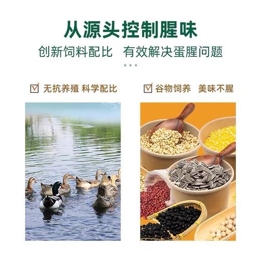 神丹12枚VE鲜鸭蛋 商品图1