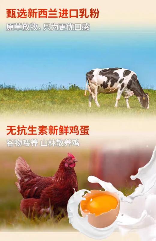 方广婴幼儿动物饼干草莓香橙味字母饼干原味FAG-949240/FAG-949363 商品图2