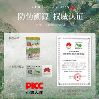 碧螺2026年春茶绿茶苏州洞庭碧螺春东山茶厂送礼一级100g明前新茶罐装 /水饮冲调 /茗茶 /绿茶 商品图2