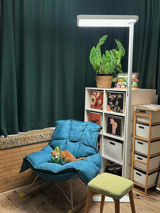 【开学季】 大路灯 全国TOP级别实力工厂 保护视力 模拟太阳灯光谱 降低蓝光 减缓眼部疲劳 保护视力从灯开始下 预售3天周末不发 商品图0