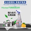 Mootaa不锈钢清洁剂（欧洲原装进口）550ml效期26年7月 商品缩略图1