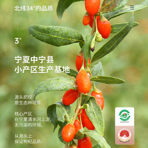 250克宁夏枸杞（特级）瓶装 商品图3