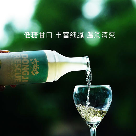 糯言&电影《东极岛》联名款·雪糯清酿纯米酒700ML 商品图1