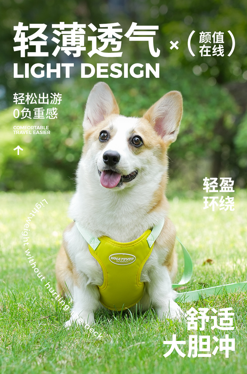 i22VifOtztSBuvrAbg2defyg4lSSCVXVUEFv