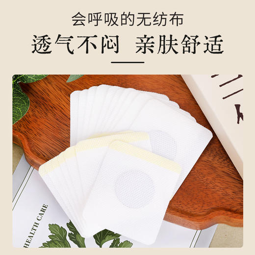 【送穴位图】李时珍出品 三伏保健贴 多味本草 温和养护 多位同贴 冬寒夏养 商品图4