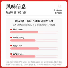 中咖中度烘焙 蓝山风味 云南小粒咖啡豆454g /水饮冲调 /咖啡 /咖啡豆/粉