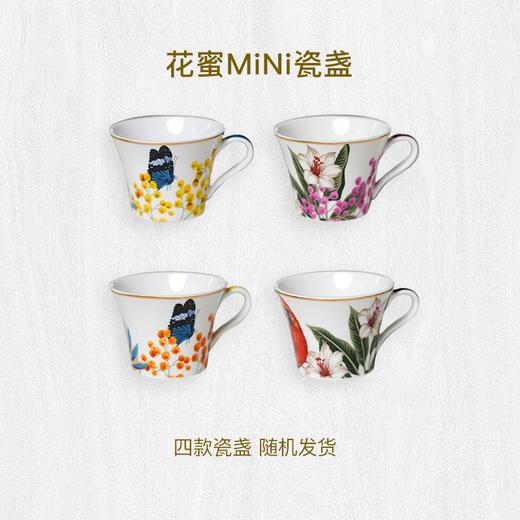 瑞琪奥兰麦卢卡蜂蜜UMF5+瓷杯礼盒  商品图2