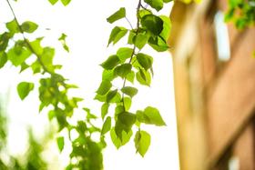 立秋后身体“收着”养，医生强调3个细节