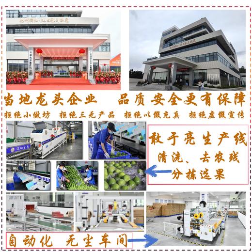 御贡言化州橘红片｜铁罐封贡脉 · 开盖启三朝润｜精品铁罐款..农药残留不得检出【4.4-4.5不发货，6号正常发货】 商品图3