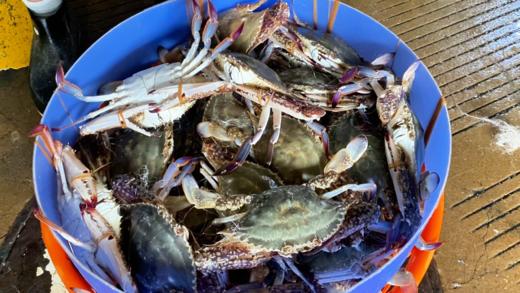 “螃友，蟹蟹侬”5斤装螃蟹礼盒 商品图0