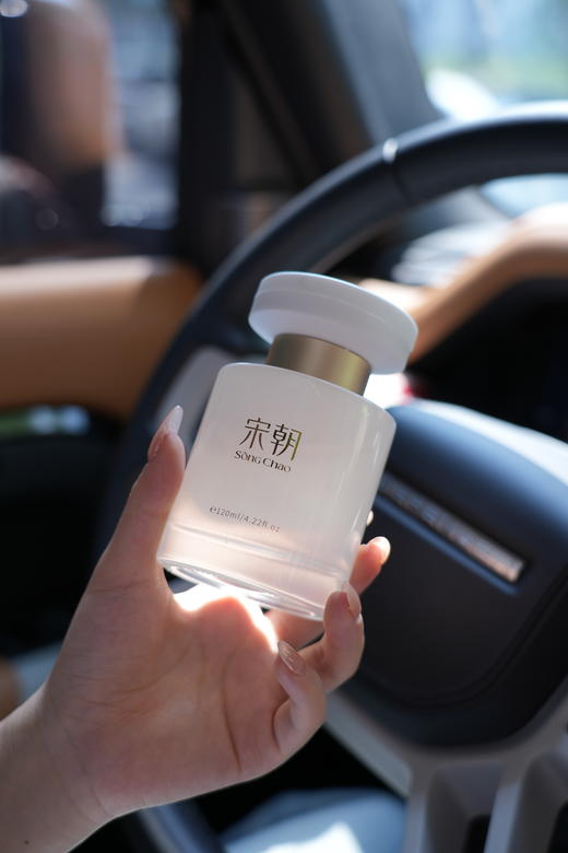 【包邮】宋朝 车zai香氛（白）丨除味 商品图1