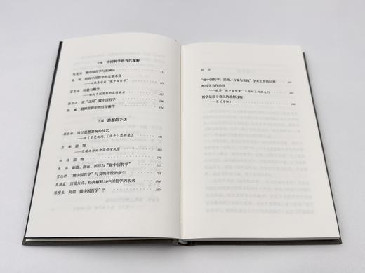 思想的手法：如何“做中国哲学” 商品图3