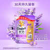 金纺衣服调香大师香氛护理柔顺剂薰衣草860g补充装除味防静电持久留香 /家庭清洁/纸品 /衣物清洁 /柔顺剂 商品缩略图4