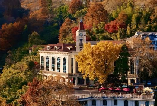 莫干山“万国枫情”、“姑苏城”秋色（天平山+拙政园+寒山寺）、长兴八都岕银杏、杭州九溪烟村6天休闲摄影团 商品图8