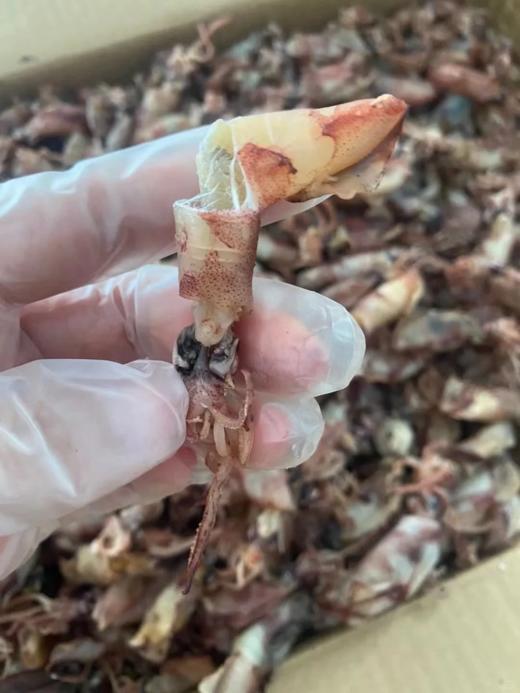 & 即食一口管干，一口一个越嚼越香越好吃！]零添加，酒配，茶配，干吃，爆炒样样皆可 商品图3