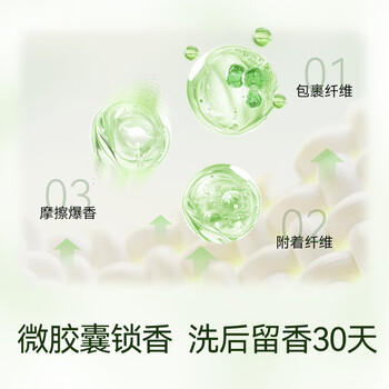 京东京造香氛艺术留香珠200g*3(茉莉 白桃 水雾雪松) 洗衣香珠洗衣液伴侣 /家庭清洁/纸品 /衣物清洁 /留香珠 商品图5