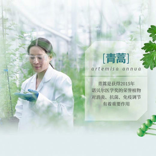 【专属】【买3送1】笙观相沐植护青蒿洗发水 多种植物复配 专利、进口成分  多效合一 长效控油去屑 商品图2