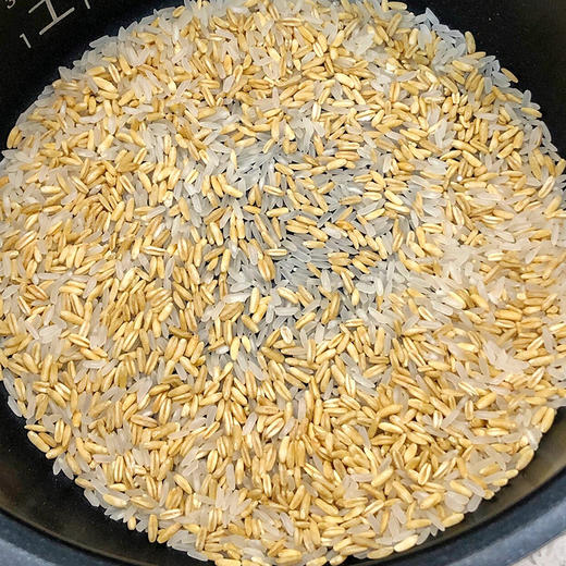 【莜燕】白城燕麦大米 五谷杂粮营养米 代餐米煮粥燕麦粒粗米燕麦米饭 商品图5