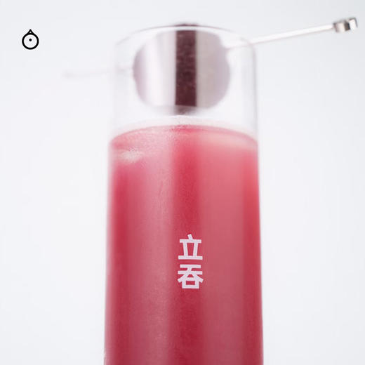 企鹅市集|重庆 立吞精酿啤酒HOPSCRAFT 紫苏杨梅 多种口味可选 商品图4