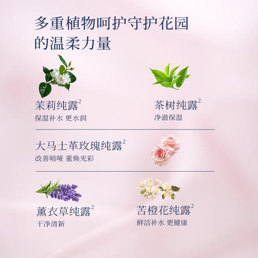 橪 松红梅蜜爱舒净喷雾30ml 商品图4