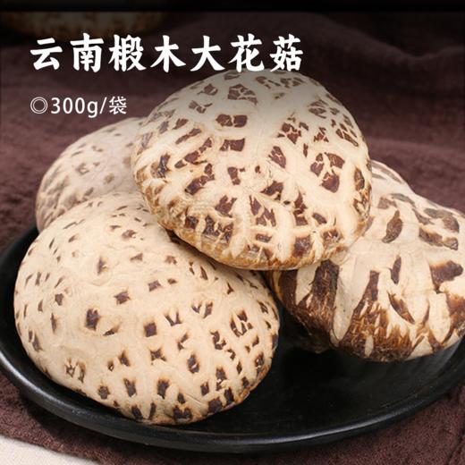 云南椴木大花菇 l 爆花自然 朵大肉厚 不熏不掺不染 菌香浓郁 爽滑弹牙 享有“素鲍鱼”美誉 商品图0